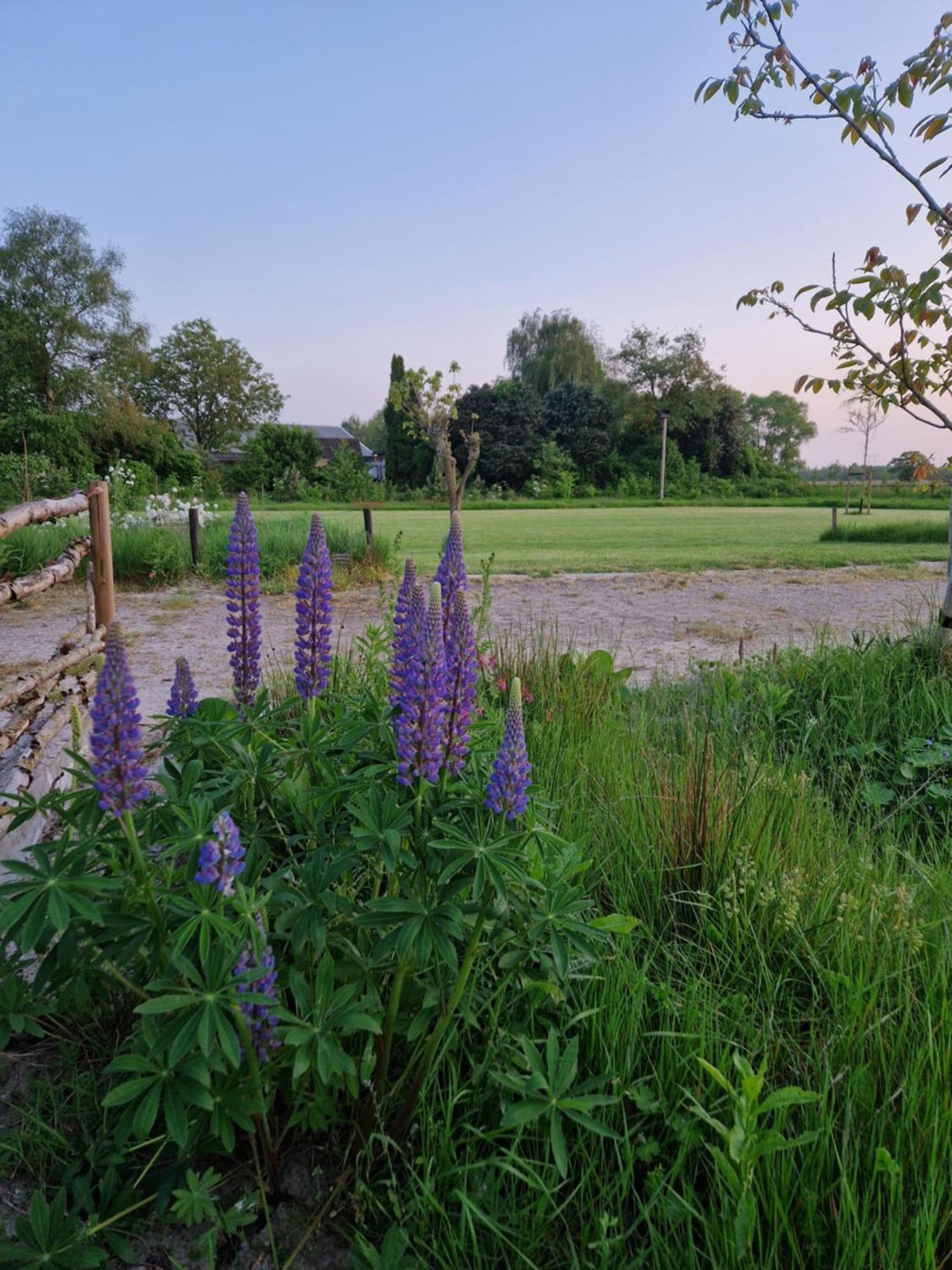 De Wilde Tuin - Tuinkamer Moergestel Exteriör bild